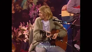 [가사 번역/자막] Nirvana - Dumb | MTV Unplugged, 1993