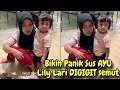 Download Lagu DETIK2 LILY DIGIGIT SEMUT LARI PELUK SUS AYU BIKIN PAPA RAFFI KHAWATIR 