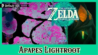 Zelda Tears of the Kingdom - Apapes Lightroot