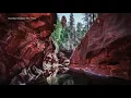 Let s Go Places in Arizona Oak Creek Canyon bursts with color in fall