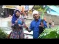 Download Lagu Al Abror - Valentine