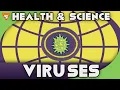 Viruses Pathfinder Honor