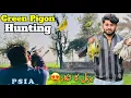 Download Lagu Green Pigon Hunting 😍/ ہریل کا شکار/ Birds Hunting 