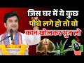कान खोल कर सुन लो, जिस घर में ये पौधे हो उस घर में विनाश होना तय है ! Indresh ji Maharaj