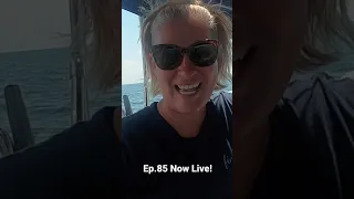 Fun Sail to The Keys! #shorts