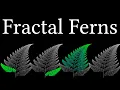 Barnsley ferns but actually explaining each function