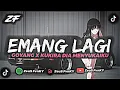 DJ EMANG LAGI GOYANG X KUKIRA DIA MENYUKAIKU || REMIX TERBARU 2023