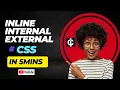 INLINE INTERNAL AND EXTERNAL CSS