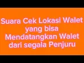 Download Lagu Cara Mendatangkan Ribuan Walet hanya dalam 5 Menit