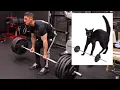 ATHLEAN-X Uses Real weights but does so poorly