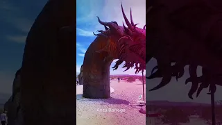 Found something cool in the Anza Borrego desert while looking at the blooming flowers #sandiegofood