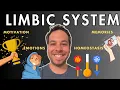 The Emotional Brain Limbic System Explained