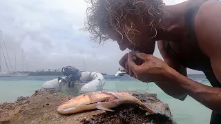 Ep. 396 Survivor – Eating raw fish guts, how to not starve