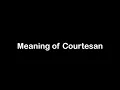 What is the Meaning of Courtesan Courtesan Meaning with Example