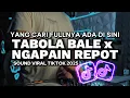 Download Lagu TABOLA BALE x NGAPAIN REPOT BREAKBEAT FULL BASS! DANCE VELOCITY  TIKTOK 2025