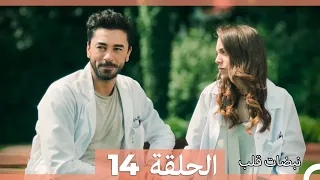 نبضات قلب الحلقة 14 Arabic Dubbed 