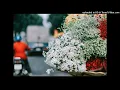 Download Lagu cihuy ada pesan nih