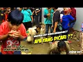 KUDA LUMPING MUTIARA SURYA PUTRA ❗❗ ANOMAN OBONG BERSAMA BOCIL KAUL TERLUCU 🔥 BARGOLA TV