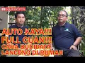 Download Lagu AUTO KAYA!!! || BUDIDAYA LANCENG DI RUMAH BISA BIKIN KAYA BANYAK CUAN ||