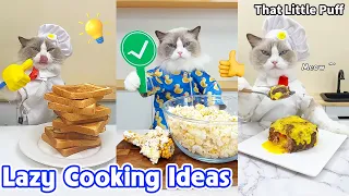 Puff's Lazy Cooking Ideas 🐱🍳 So Easy So Delicious! | That Little Puff