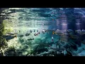 Download Lagu Hillsong UNITED - Oceans (Where Feet May Fail) - Piano, Sax, Flute Cover
