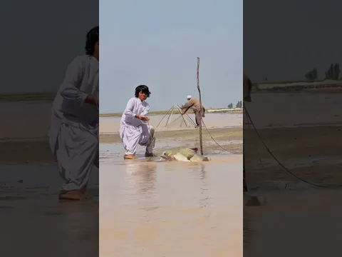 अगले ही पल खुद शिकार हो गया 😱 #shorts #shortvideo #youtubeshorts #trending #trendingshorts #tiktok