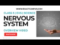 The Nervous System The Control Center of Our Body Class 5 Science EVS Chapter