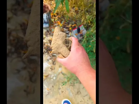 Gan ka kamal #shorts #youtubeshorts #viral