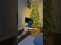 Parents Take Elf on the Shelf to the Next Level