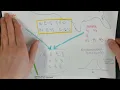 4 Randomization Distribution