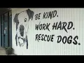 It just breaks my heart People of Fort Smith speak out about The Hope Humane Society closing