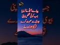 Special Hadees For Husband and Wife Relation || Humbistari Ka Tarika in Islam || Hadith #shorts