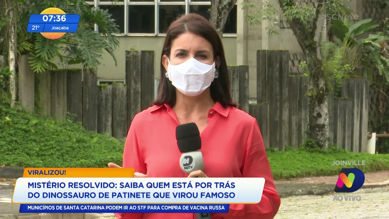 Mistério resolvido: descubra quem é o Dinossauro de Joinville