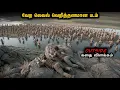 Download Lagu Zombie Survival திரைப்படம் | Star Movies Tamil | Tamil Voice Over | Mr Tamilan | Horror Tamil