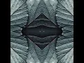 Call to the Unknown - Saturna