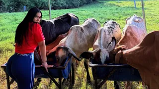 CUIDANDO a las VACAS en el RANCHO 🐮💚