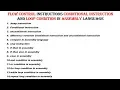 flow control instructions conditional instruction and loop condition in assembly language in bnagla