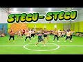 Download Lagu STECU - STECU || TIKTOK VIRAL || SENAM KREASI || CHOREO ZIN ASRUL