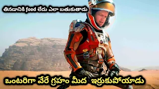 stuck on mars alone how did 600 days survive movie explained in telugu