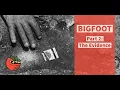 Bigfoot Part 2 The Evidence