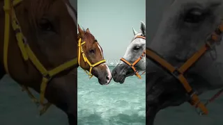 قولوا لها أنني بدون موسيقى 