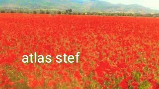 Askour Et Amhzoun Atlasyat 