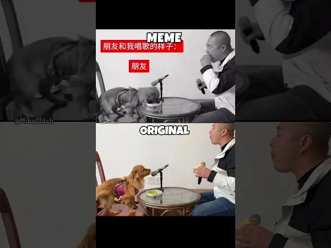 Chinese Man and Dog Singing Meme vs Original #shorts