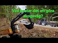 Download Lagu Vad kostar det att göra skogsväg?