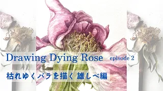 drawing dying rose episode 2 