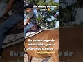 Download Lagu #cavalos #vaquejada #desmantelo #vaqueirinho #depaiprafilho #muido #piseiro #vaquejadaemeuesporte