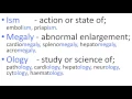 Medical Terms 4 Suffixes