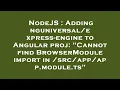 NodeJS Adding - engine to Angular proj Cannot find BrowserModule import in sr