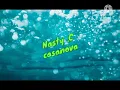 Nasty C - Casanova ( Lyrics )