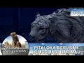 Pitaloka Muncul dalam Wujud Harimau Putih ?! - 7 Manusia Harimau New Generation Eps 79 Part 2